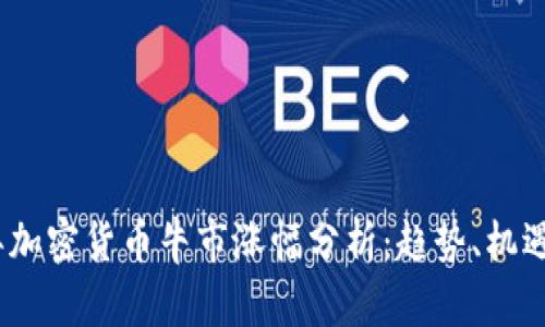 2023年加密货币牛市涨幅分析：趋势、机遇与风险