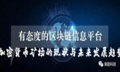 美国加密货币矿场的现状