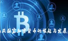 东南亚国家加密货币的崛