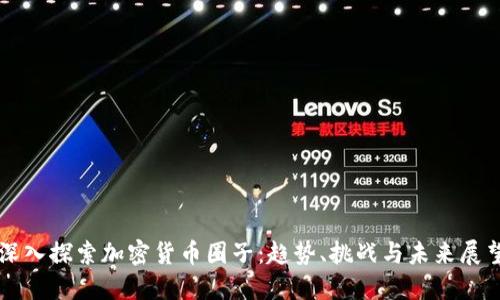 深入探索加密货币圈子：趋势、挑战与未来展望