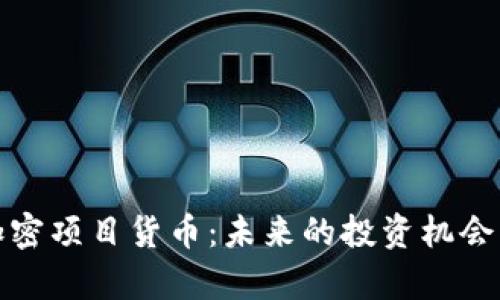 全面解析加密项目货币：未来的投资机会与市场趋势