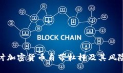 深入探讨加密货币自带杠杆及其风险与机遇