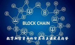 数字加密货币的分类与未来发展趋势