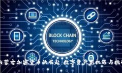 内蒙古加密货币的崛起：