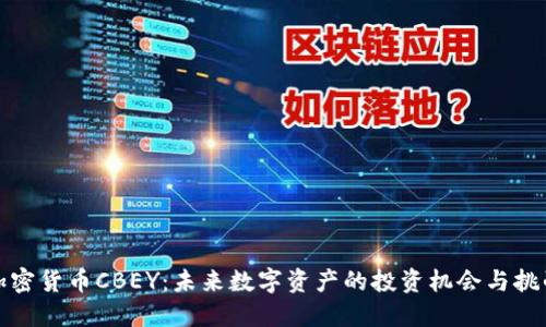 加密货币CBEY：未来数字资产的投资机会与挑战