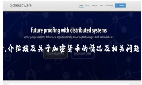 在这里提供一个适合推广的和相关的关键词。同时，介绍埃及关于加密货币的情况及相关问题。由于篇幅限制，这里将提供大致框架和部分内容。

埃及的加密货币现状与未来发展方向