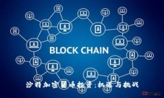 沙特加密货币投资：机遇