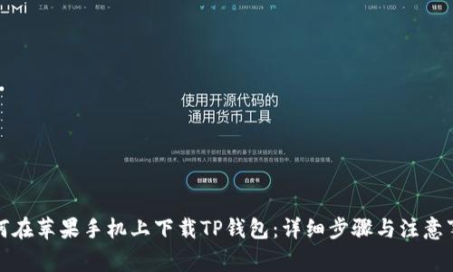 如何在苹果手机上下载TP钱包：详细步骤与注意事项
