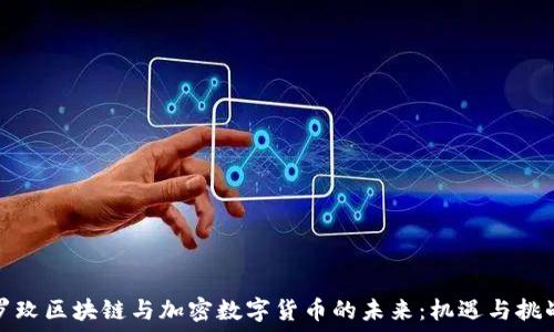   
罗玫区块链与加密数字货币的未来：机遇与挑战