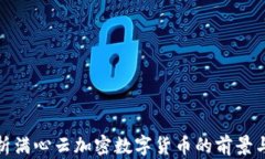 全方位解析满心云加密数