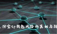  了解支付宝tp钱包风险的真相与防范措施