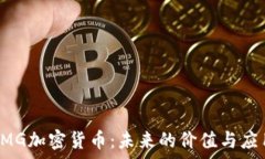   探索OMG加密货币：未来的