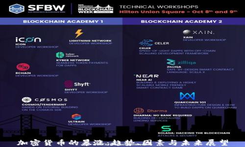 
加密货币的暴涨：趋势、因素与未来展望